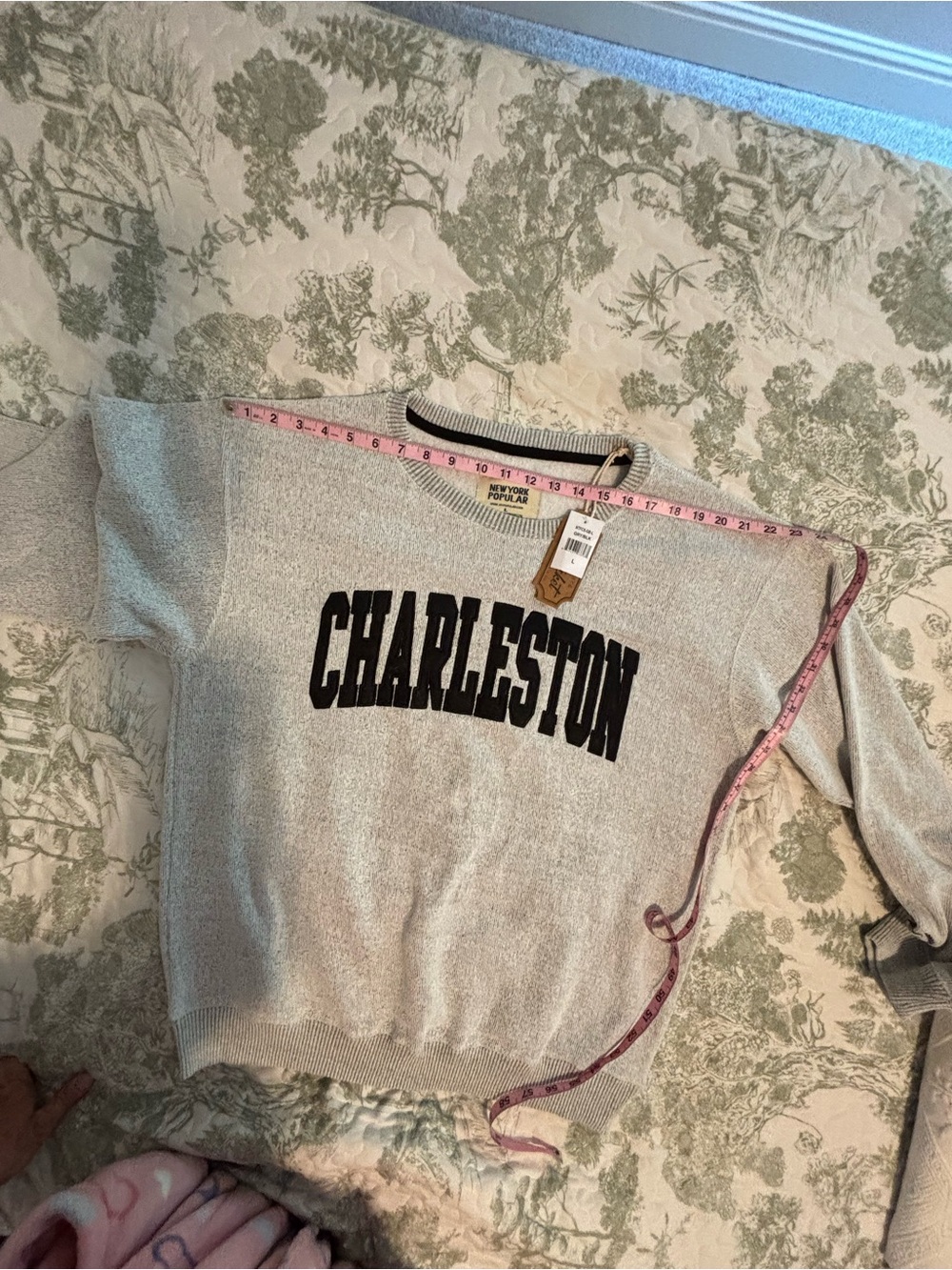 NWT New York Popular sz Large Charleston Graphic Crewneck Nantucket Soft Fleece - Picture 11 of 13